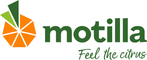 Motilla